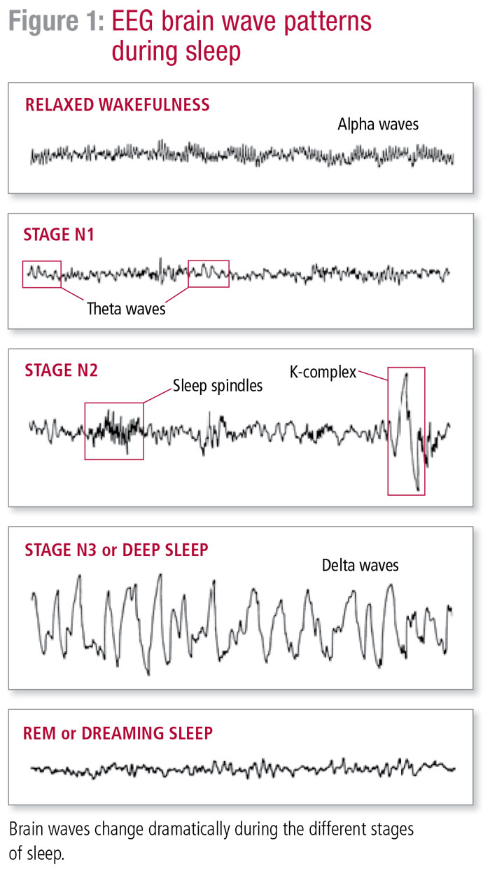 Brain waves